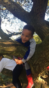 little boy in tree